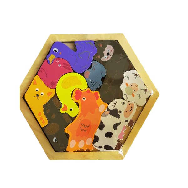 Hexagon Shape 3D puzzle (any 1 random piece)