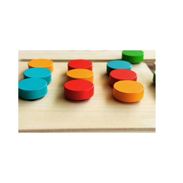 Montessori Learning Toys Slide Puzzle Color  and Animal Matching Logic Game