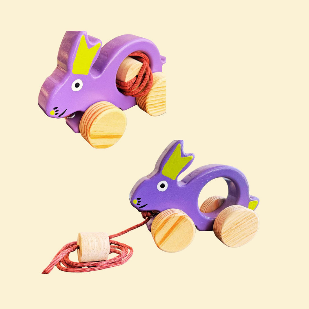Wooden Push & Pull toy