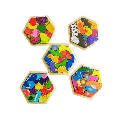 Hexagon Shape 3D puzzle (any 1 random piece)