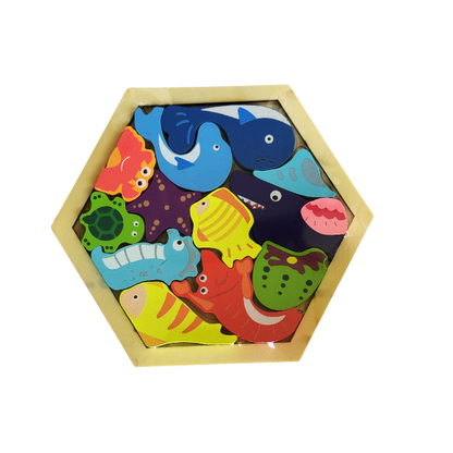 Hexagon Shape 3D puzzle (any 1 random piece)