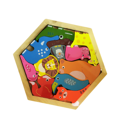 Hexagon Shape 3D puzzle (any 1 random piece)