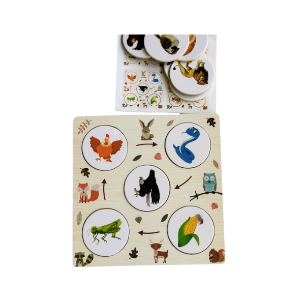 Food chain Puzzle